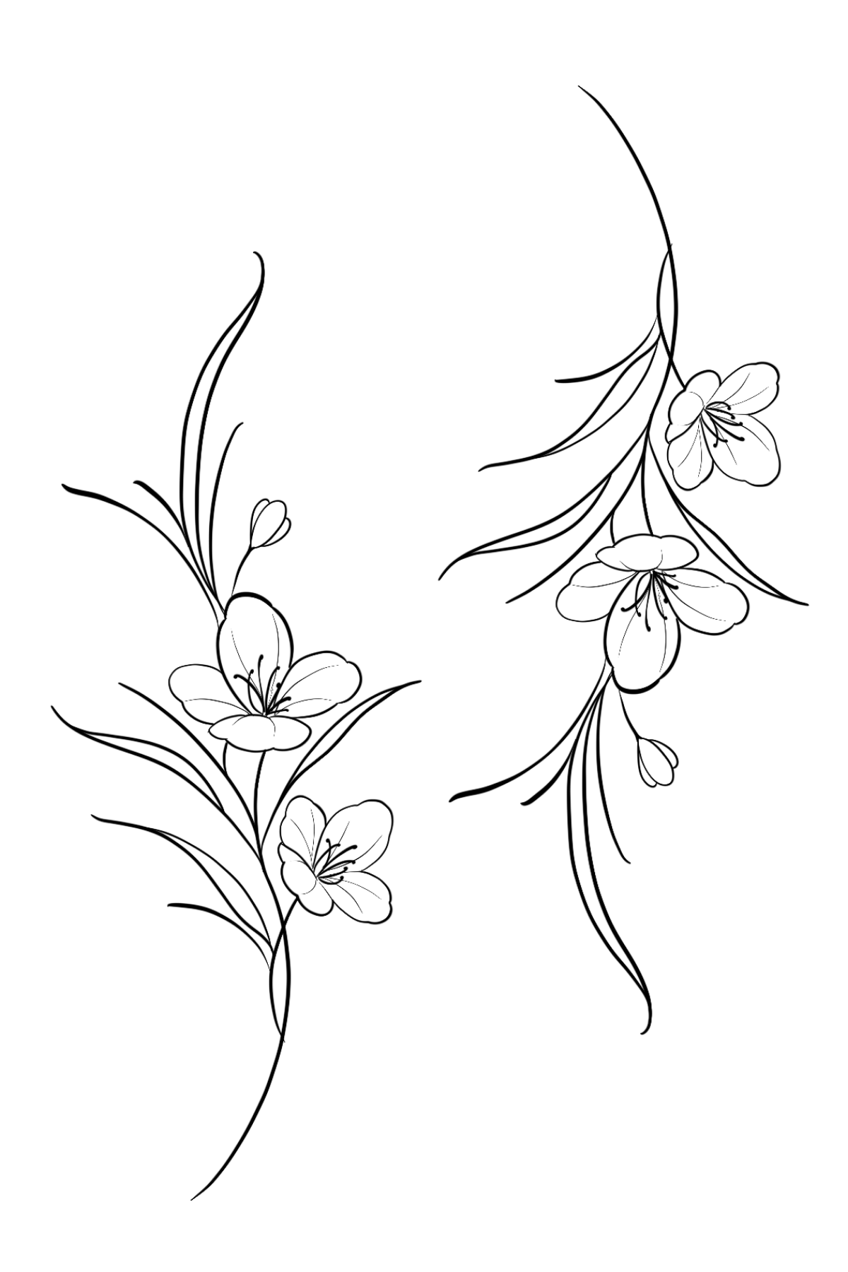 Semi-Permanent - Black Line Only