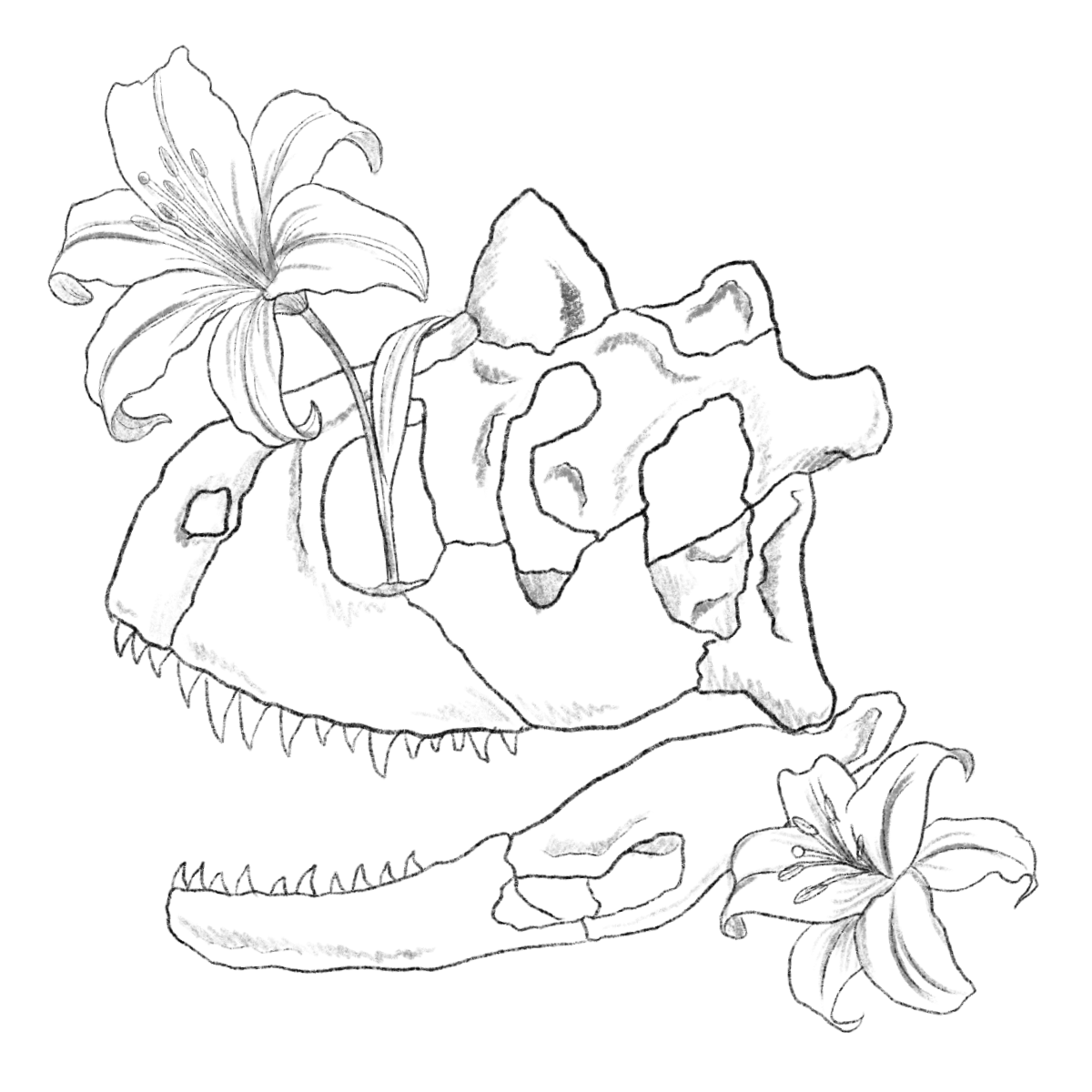 Semi-Permanent - Black Line Only
