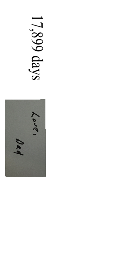 Semi-Permanent - Black Line Only