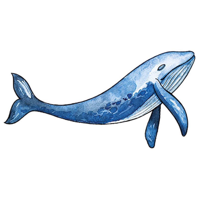 Blue Whale Temporary Tattoo