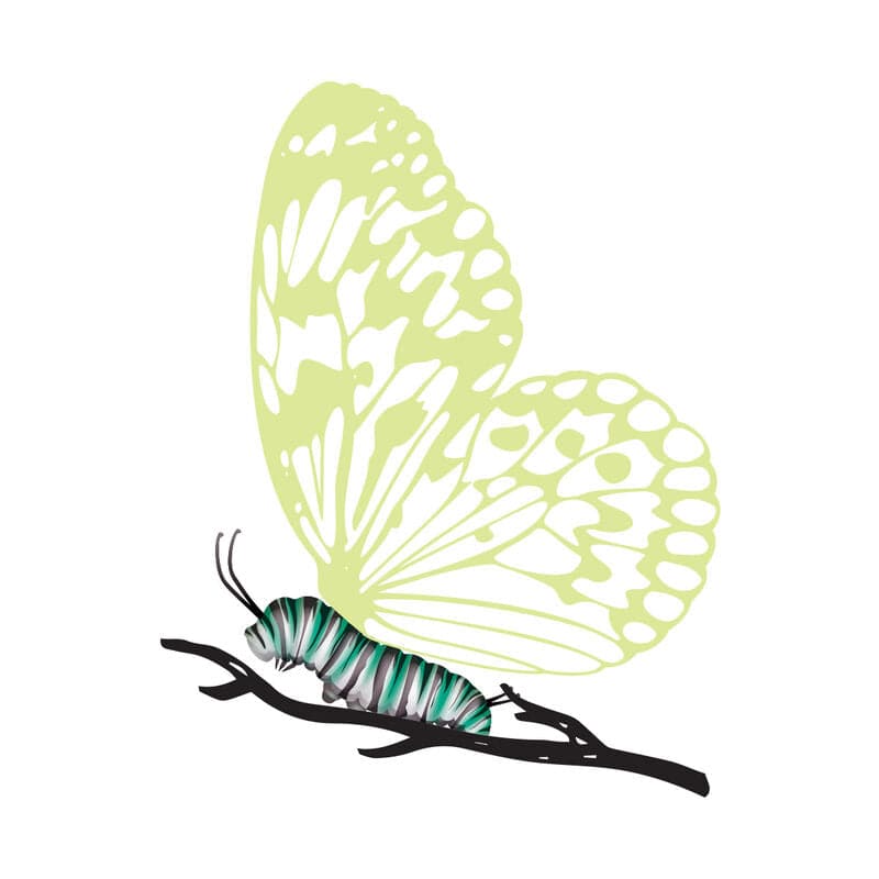 Caterpillar with Reveal Glow-in-the-Dark Butterfly Temporary Tattoo