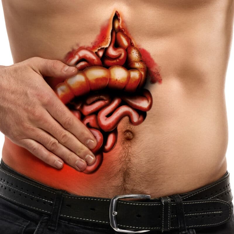 Eviscerated Guts Costume Tattoo