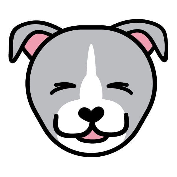 Pitbull Face Temporary Tattoo