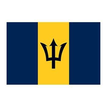 Barbados Flag Temporary Tattoo