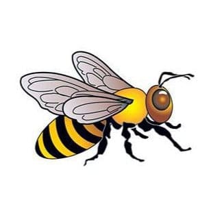 Bee Temporary Tattoo