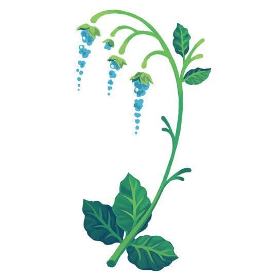 Blue Bells Ringing Floral Temporary Tattoo