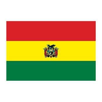 Bolivia Flag Temporary Tattoo
