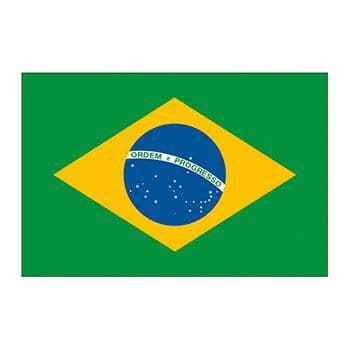 Brazil Flag Temporary Tattoo