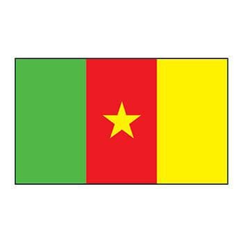 Cameroon Flag Temporary Tattoo