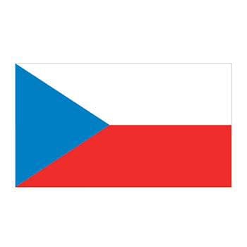 Czech Republic Flag Temporary Tattoo
