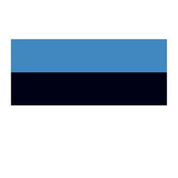 Estonia Flag Temporary Tattoo