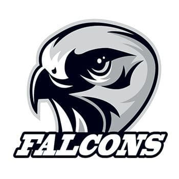 Falcons Temporary Tattoo