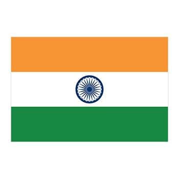 Flag of India Temporary Tattoo