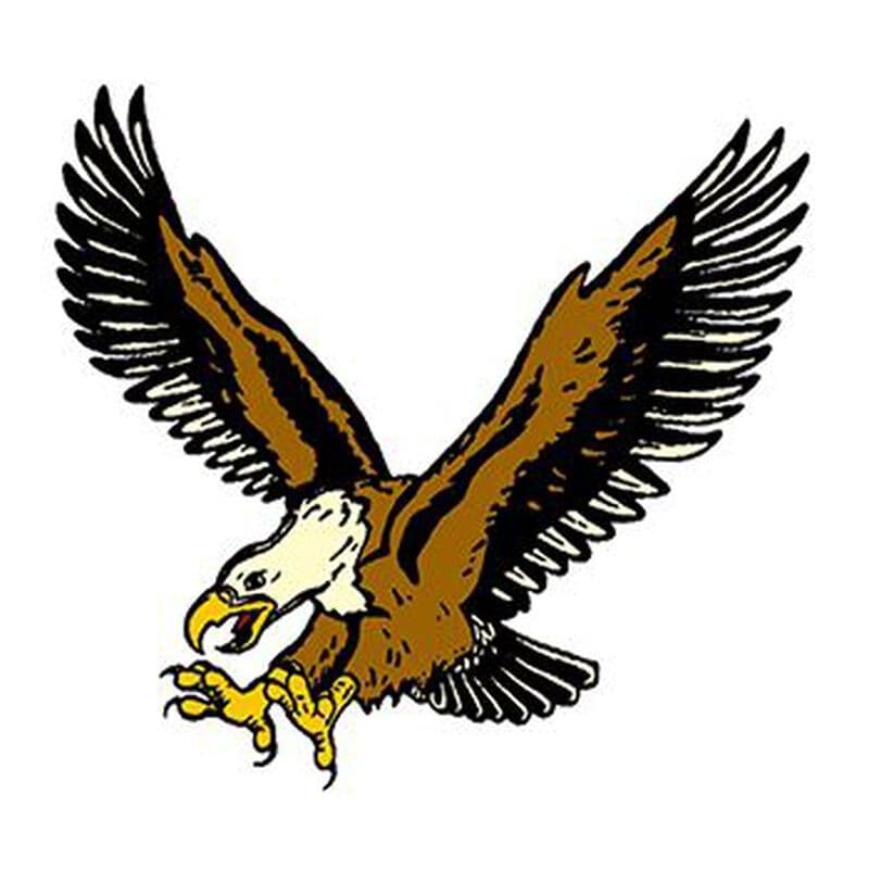 Flyin Eagle Temporary Tattoo