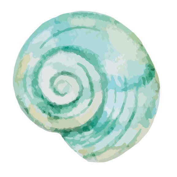 Blue Snail Shell Temporary Tattoo
