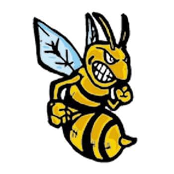 Hornets Temporary Tattoo