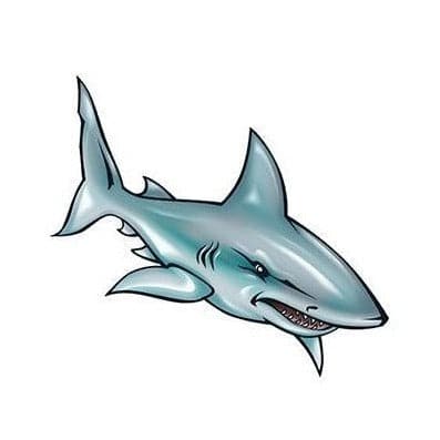 Illustrated Shark Temporary Tattoo
