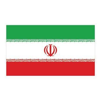 Iran Flag Temporary Tattoo
