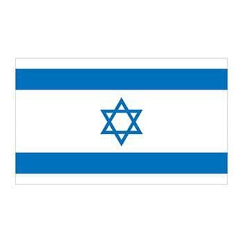 Israel Flag Temporary Tattoo
