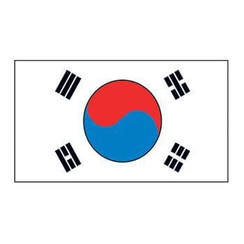 Korea Flag Temporary Tattoo