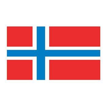 Norway Flag Temporary Tattoo