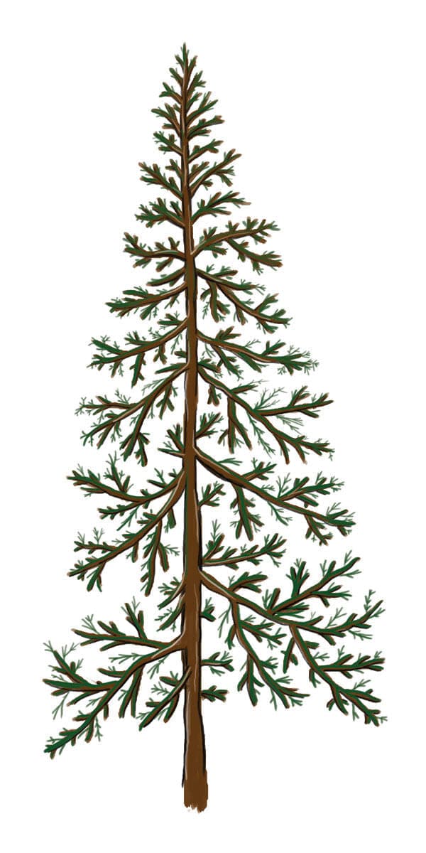 Pine Tree Temporary Tattoo