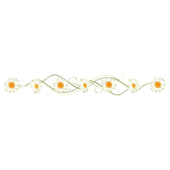 Daisy Vine Jewelry Band Temporary Tattoo