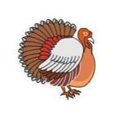 Traditional Turkey Temporary Tattoo