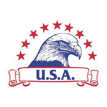 USA Eagle Temporary Tattoo