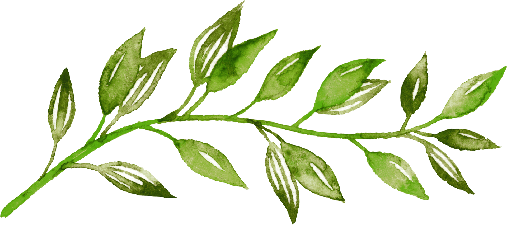 Watercolor Leaves Temporary Tattoo