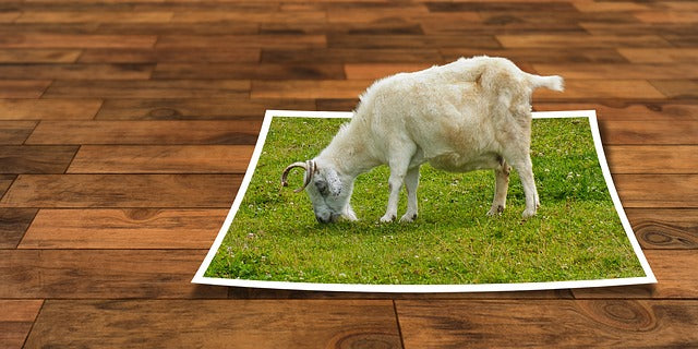 Augmented Reality