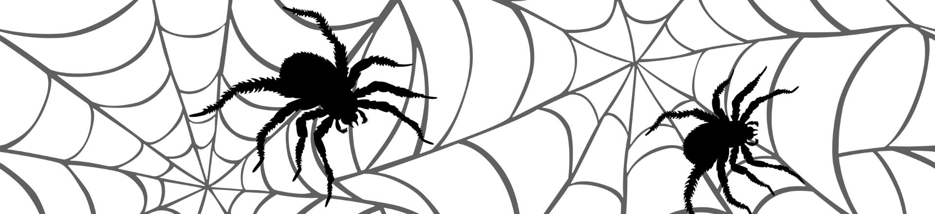 Spider Temporary Tattoos Designs