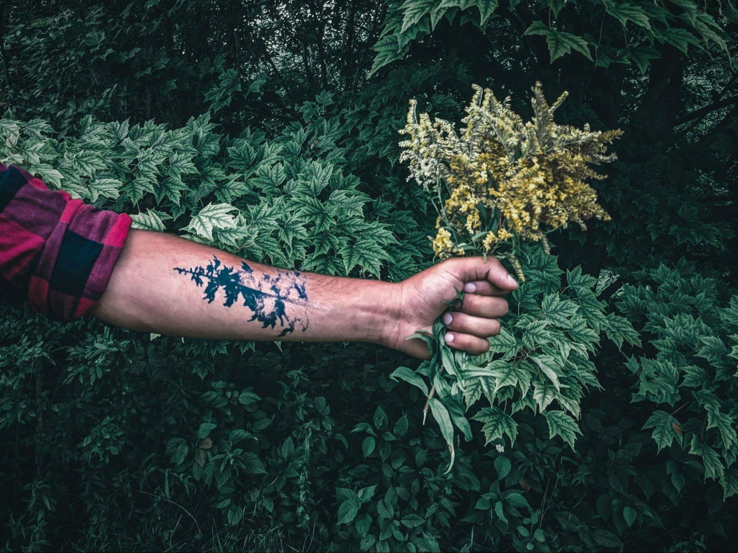 a temporary tattoo for environmental cause