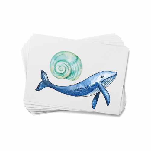 Ocean Life