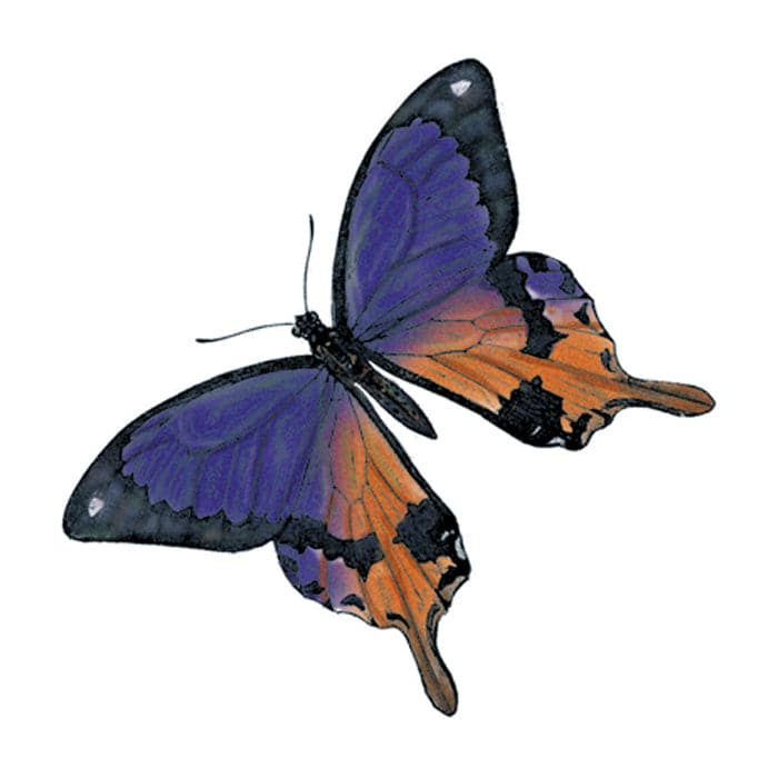Purple Butterfly Temporary Tattoo 1.5 in x 1.5 in