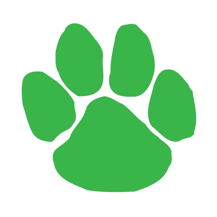 Green Paw Print Temporary Tattoo 1.5 in x 1.5 in
