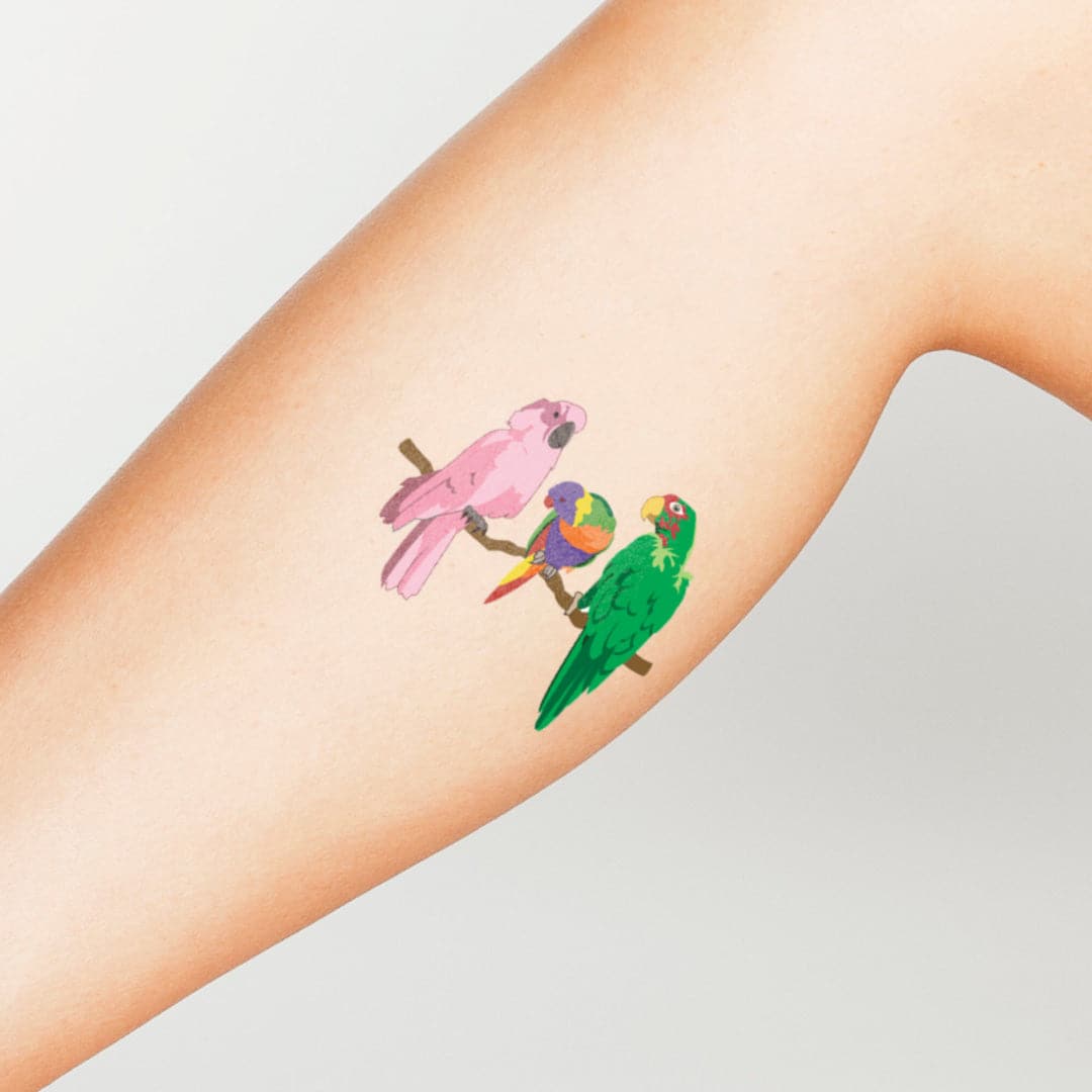 Parrots Temporary Tattoo 3.5 in x 2.5 in