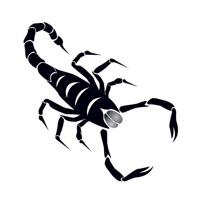 Scorpion Temporary Tattoo 2 in x 2 in