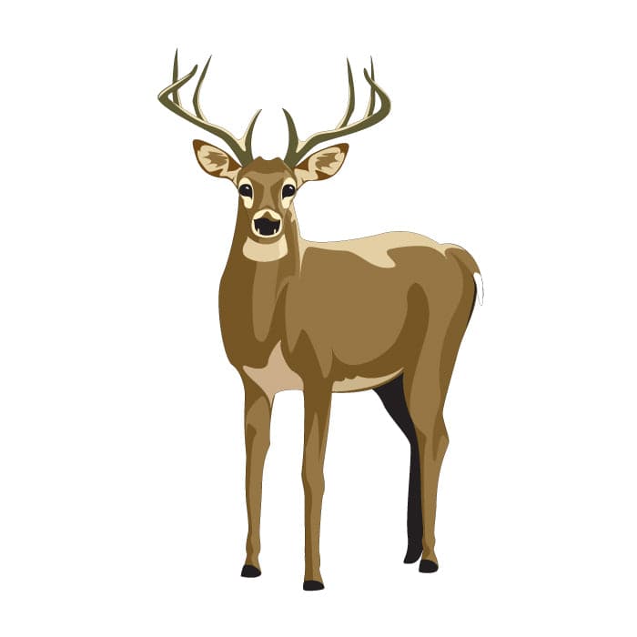 Deer Temporary Tattoo 2 in x 2 in
