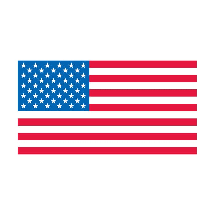 American Flag Team USA Temporary Tattoo 2 in x 1.5 in
