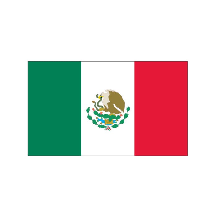 Mexico Flag Temporary Tattoo 2 in x 1.5 in