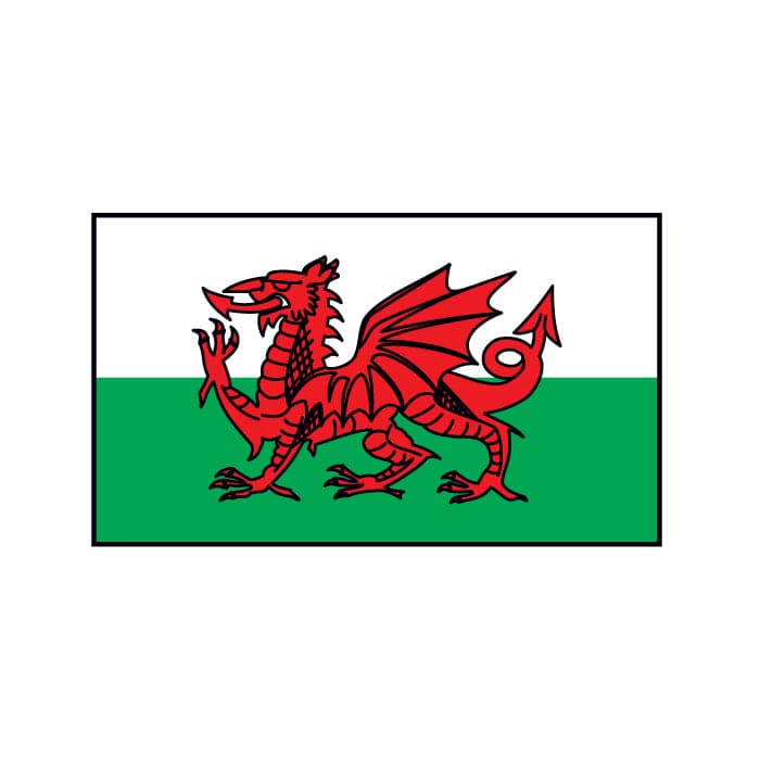 Wales Flag Temporary Tattoo 2 in x 1.5 in