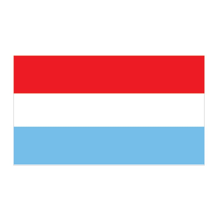 Netherlands Flag Temporary Tattoo 2 in x 1.5 in
