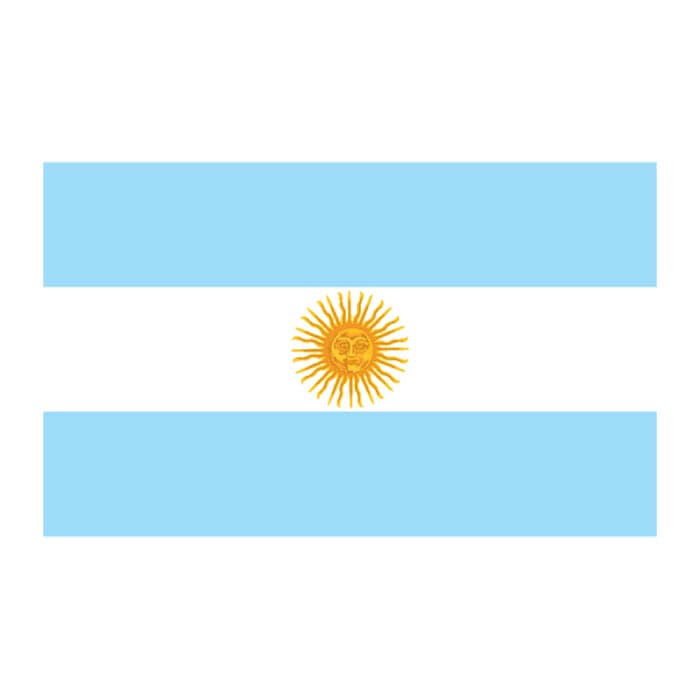 Argentina Flag Temporary Tattoo 2 in x 1.5 in