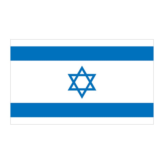 Israel Flag Temporary Tattoo 2 in x 1.5 in
