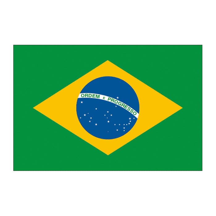 Brazil Flag Temporary Tattoo 2 in x 1.5 in
