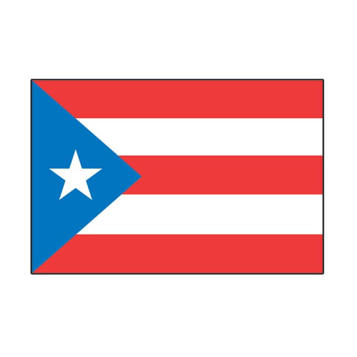 Puerto Rico Country Flag Temporary Tattoo 2 in x 1.5 in