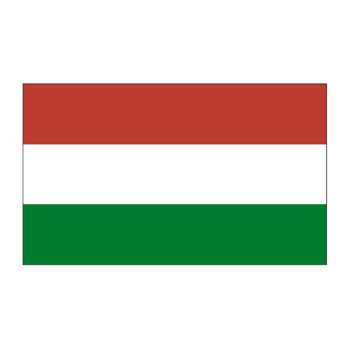 Hungary Flag Temporary Tattoo 2 in x 1.5 in