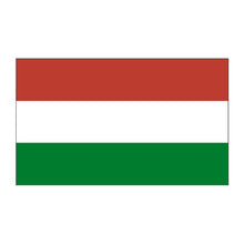 Hungary Flag Temporary Tattoo 2 in x 1.5 in