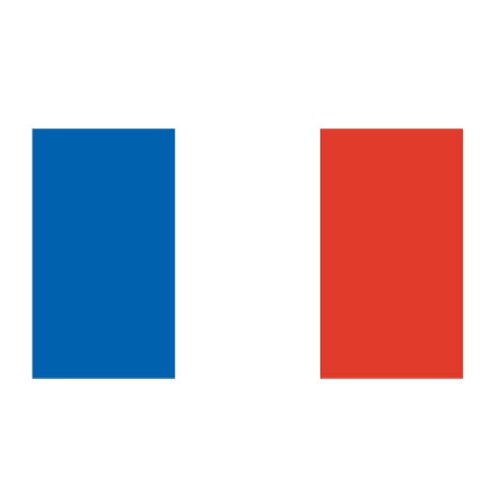 France Flag Temporary Tattoo 2 in x 1.5 in